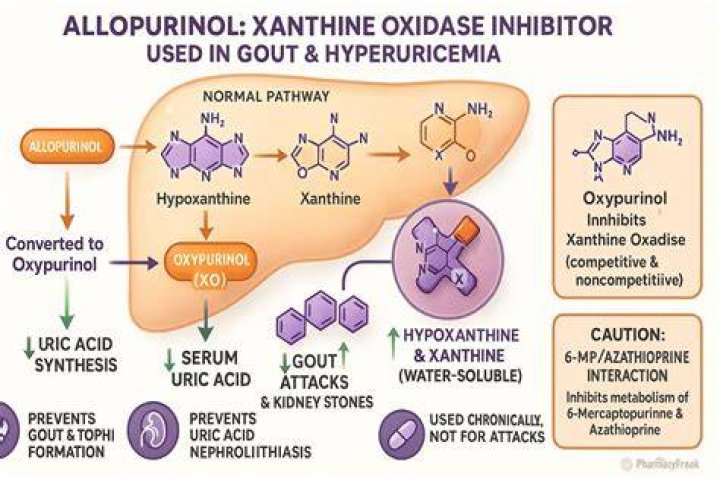 allopurinol mechanism of action