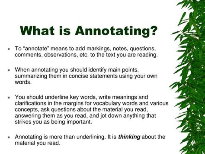 annotate definition