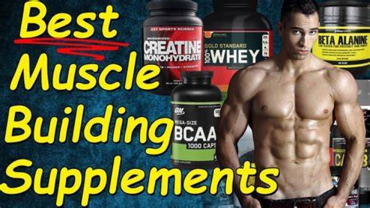 best muscle building supplements
