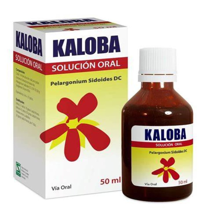 Caloba Remedio - How To Discuss