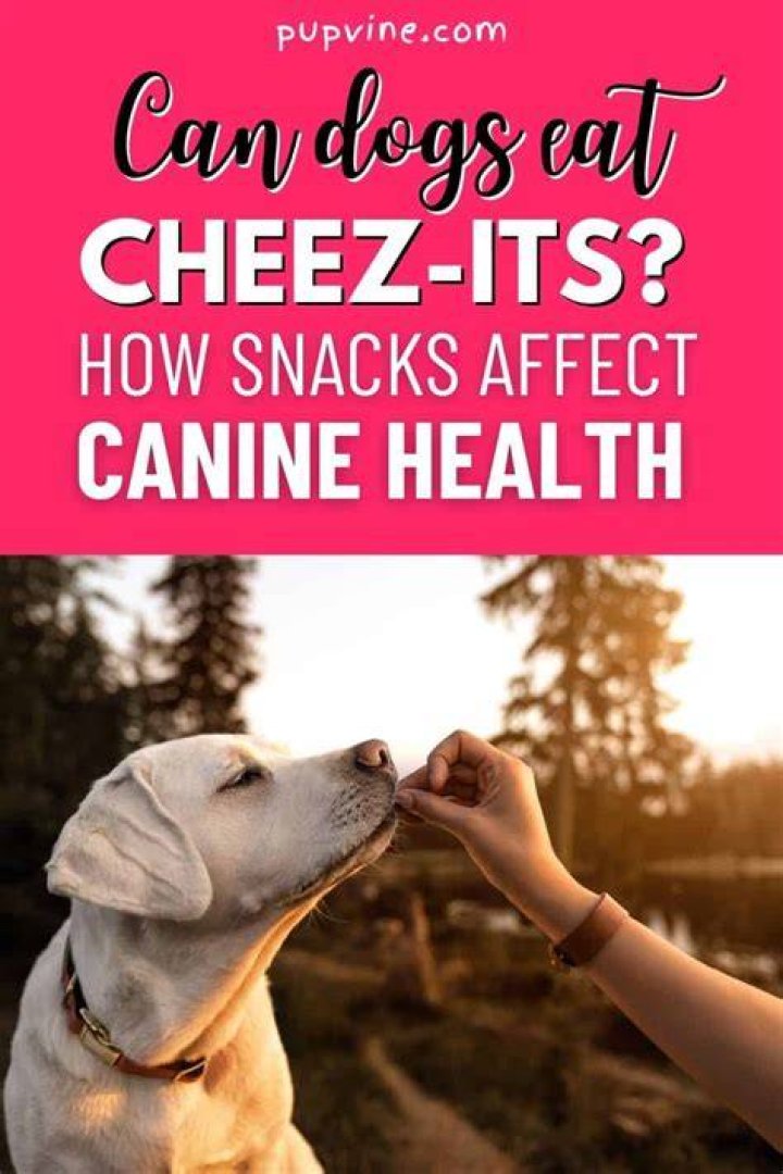 Can Dogs Eat Cheez Its