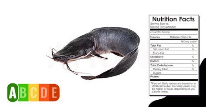 catfish nutrition