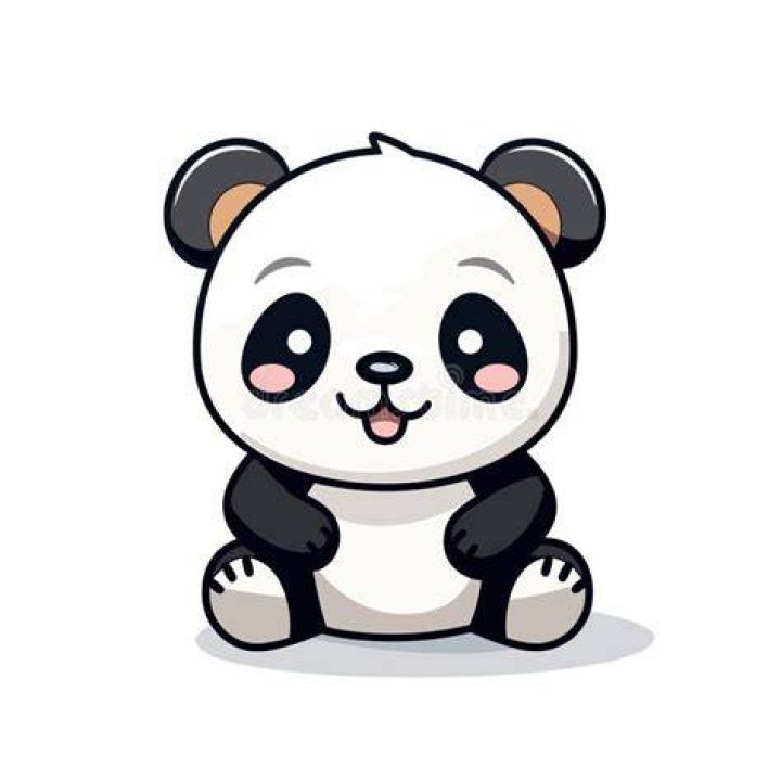 comic panda