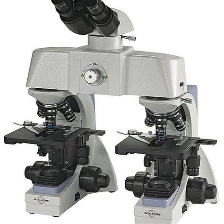 comparison microscope