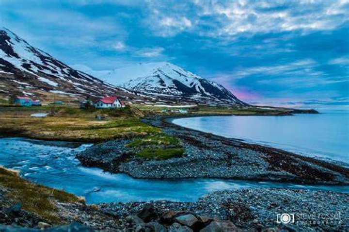 Dalvik
