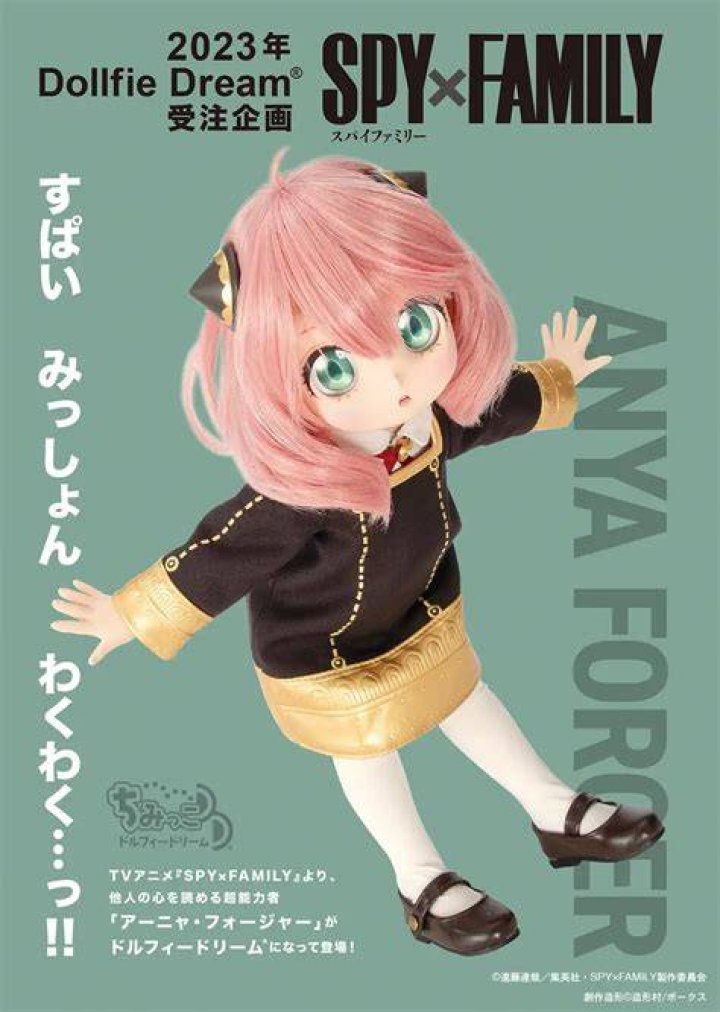 Dream Doll Dream Doll