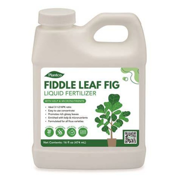 fiddle leaf fig fertilizer