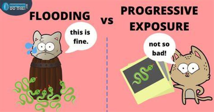 flooding psychology