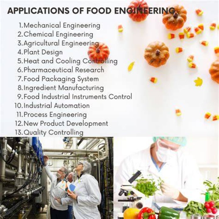 food engineering