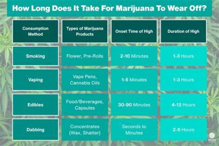 how long does it take to be a doctor