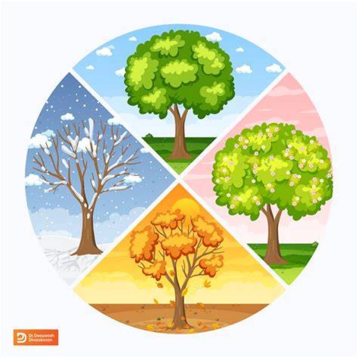 How many seasons are in Naruto