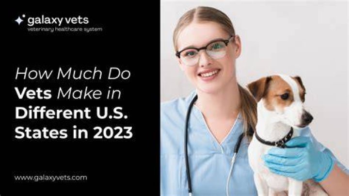 How much does a veterinarian make an hour