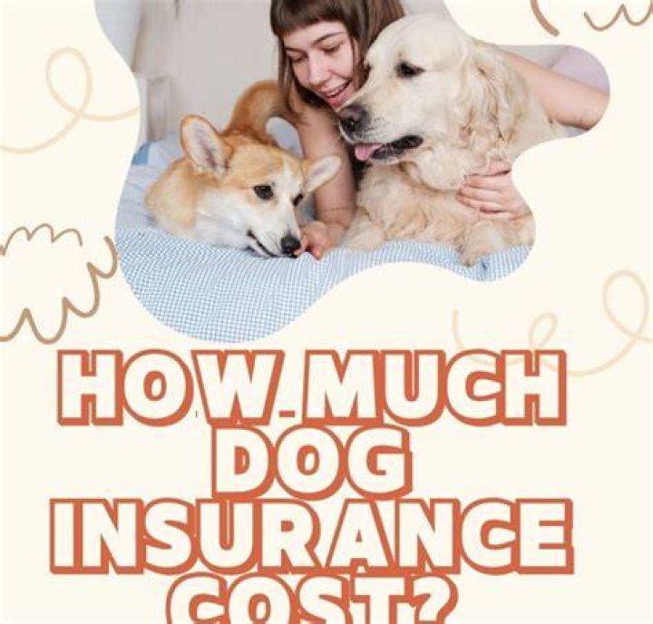 How Much is Dog's Health Insurance?