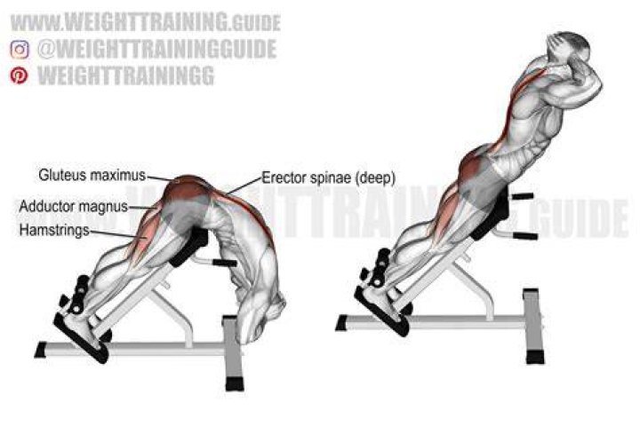 hyperextension exercise