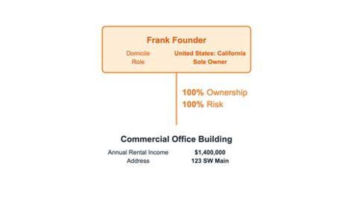 llc owner title