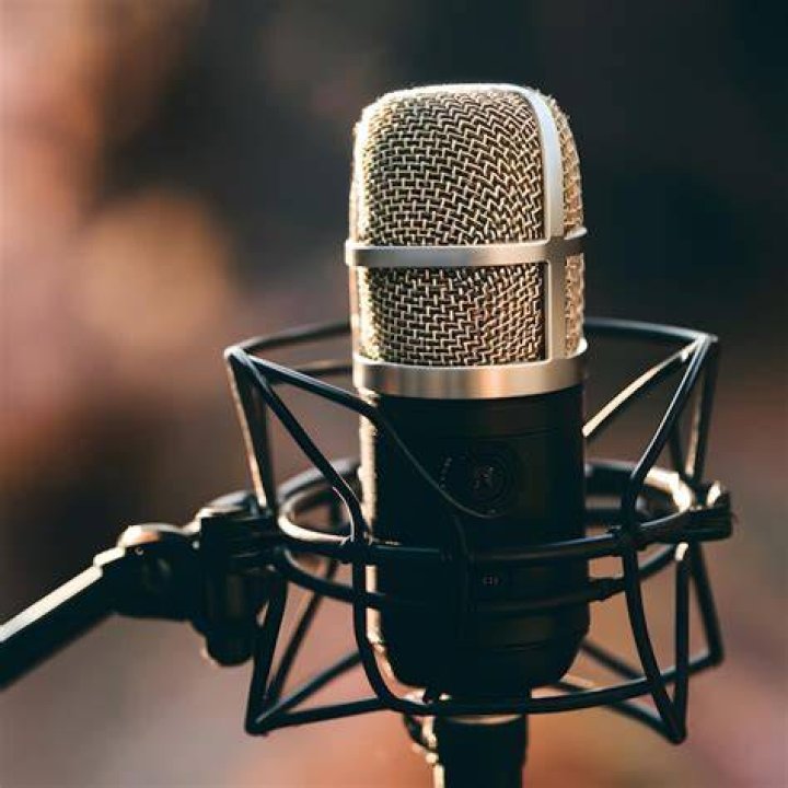 :microphone: