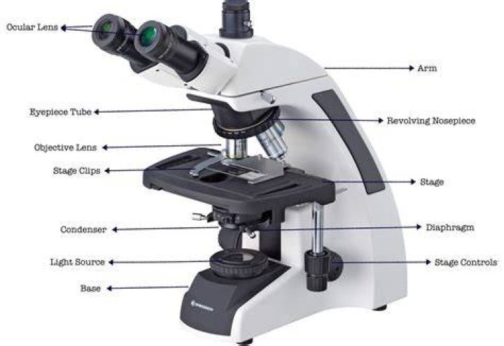 :microscope: