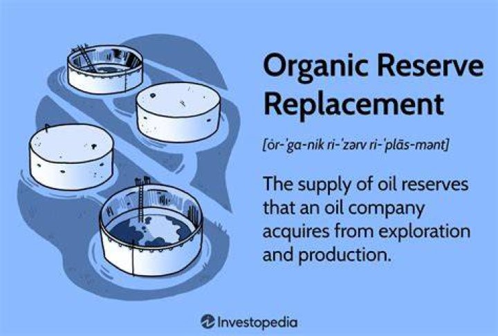 Organic Reserve Replacement
