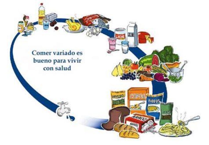 Ovalo Nutricional Ovalo Nutricional