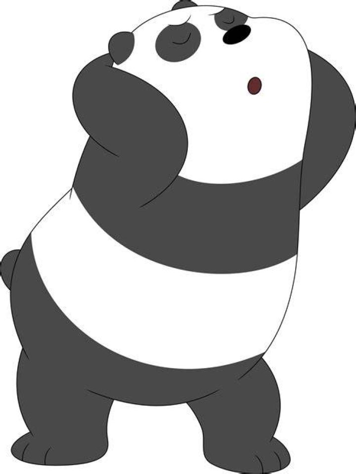 panda- we bare bear
