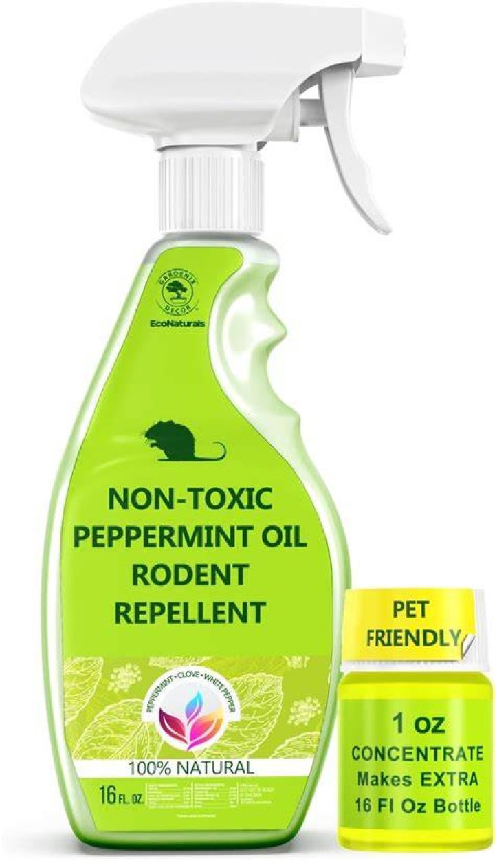 peppermint oil for rats
