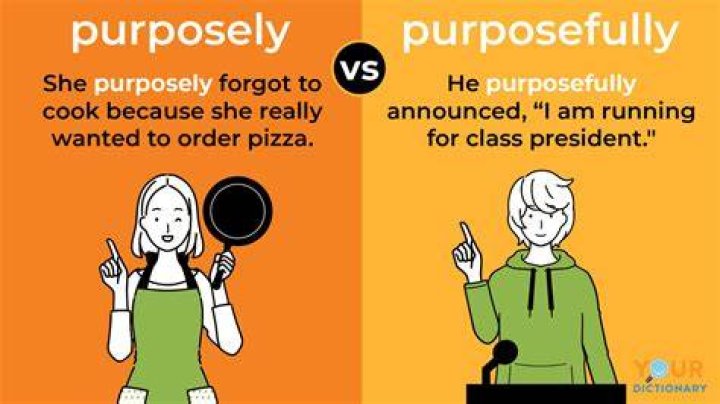 purposely or purposefully