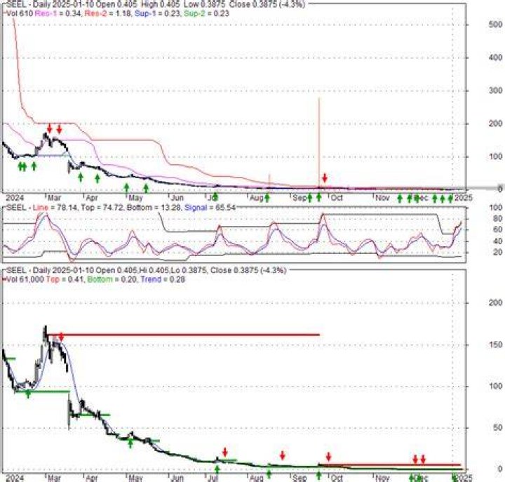 seel stock