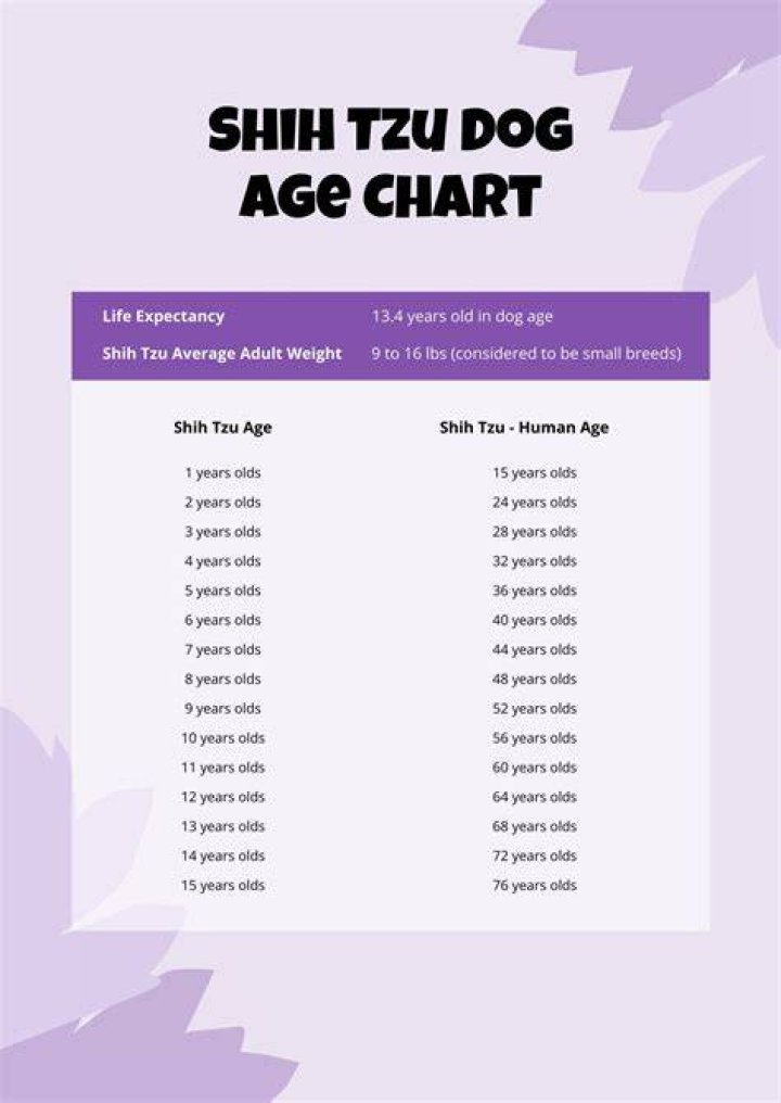 shih tzu life span