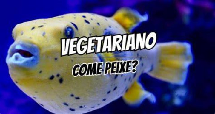 Vegetariano Come Peixe Vegetariano Come Peixe