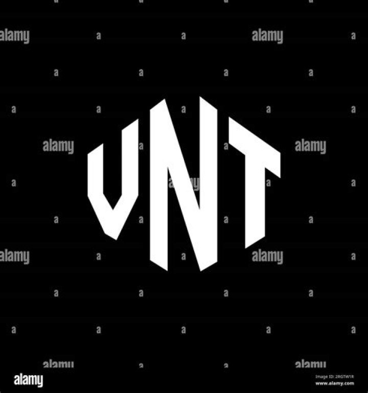 vnt stock