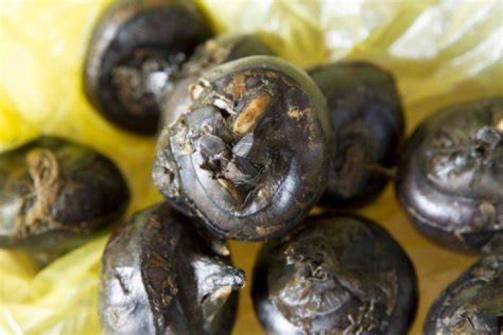 Where Are Water Chestnuts In Grocery Store Where Are Water Chestnuts In Grocery Store