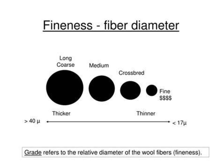 Wool Fibre Diameter